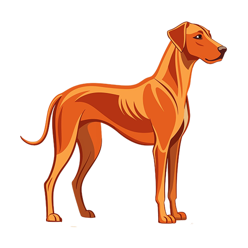 dog icon