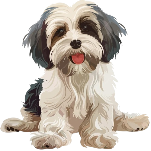 dog icon